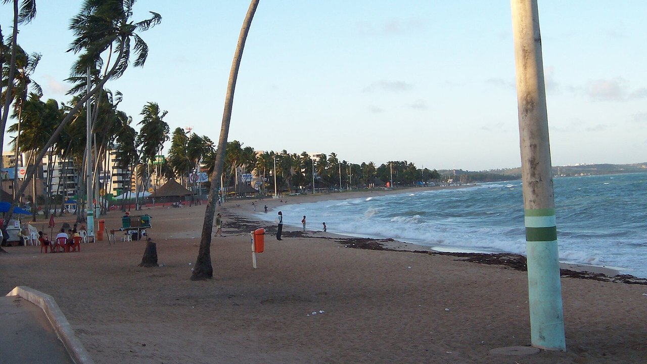 Praia de Maceió, em Alagoas, com coqueiros e mar azul-esverdeado