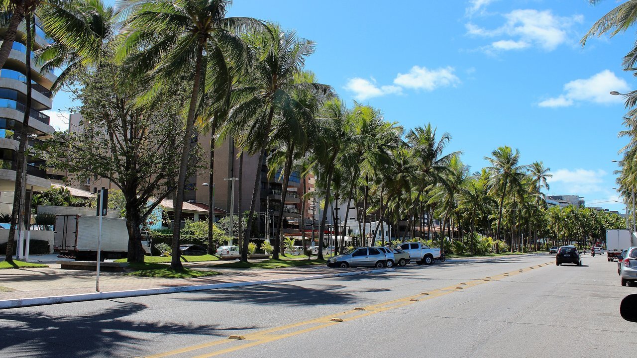 Avenida da orla de Maceió, em Alagoas, ladeada por coqueiros sob céu azul